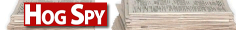 Web_Hogspy_Banner