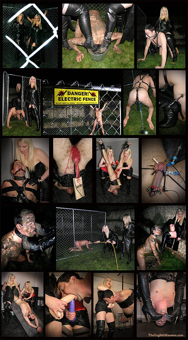 all-night-femdom-abuse-com-