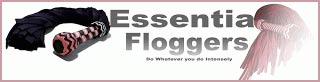 aafloggerheader-