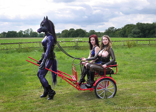 rubber-pony-cart-pulling-18