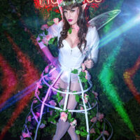 Circus Maximus Events: Wild Nights of Kink
