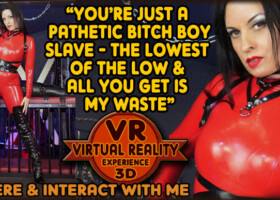 Berated & Used - VR