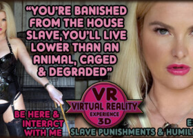 Banished & Punished - VR