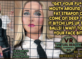 Strapon Through The Bars - VR