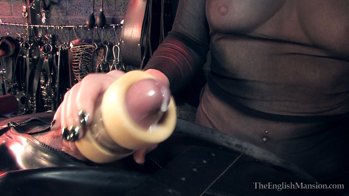 Cock Milking Machine Stories.